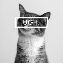 Load image into Gallery viewer, The sassiest cat
